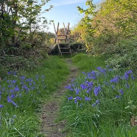 Stunning Riverside In Location Holiday home *